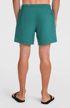 Load image into Gallery viewer, ONEILL MENS LOGO 16" SWIMSHORT BOTANICAL HEAT GREEN