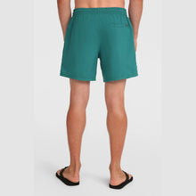 Load image into Gallery viewer, ONEILL MENS LOGO 16" SWIMSHORT BOTANICAL HEAT GREEN