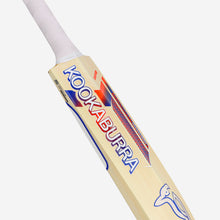 Load image into Gallery viewer, KOOKABURRA RAPID 6.5 FORCE CRICKET BAT SHORT HANDLE