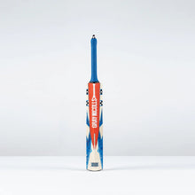 Load image into Gallery viewer, GRAY NICOLLS HAVOC 1.0 BLAST CRICKET BAT