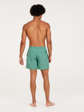 Load image into Gallery viewer, PROTEST MENS FASTER BEACHSHORT FROSTY GREEN