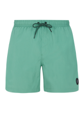 Load image into Gallery viewer, PROTEST MENS FASTER BEACHSHORT FROSTY GREEN
