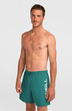 Load image into Gallery viewer, ONEILL MENS LOGO 16" SWIMSHORT BOTANICAL HEAT GREEN
