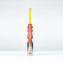 Load image into Gallery viewer, GRAY NICOLLS HAVOC HB317 WARRIOR CRICKET BAT
