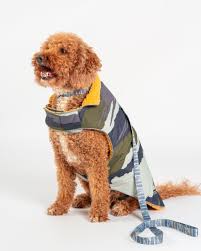 SALTROCK WAGA PADDED PET JACKET CAMO