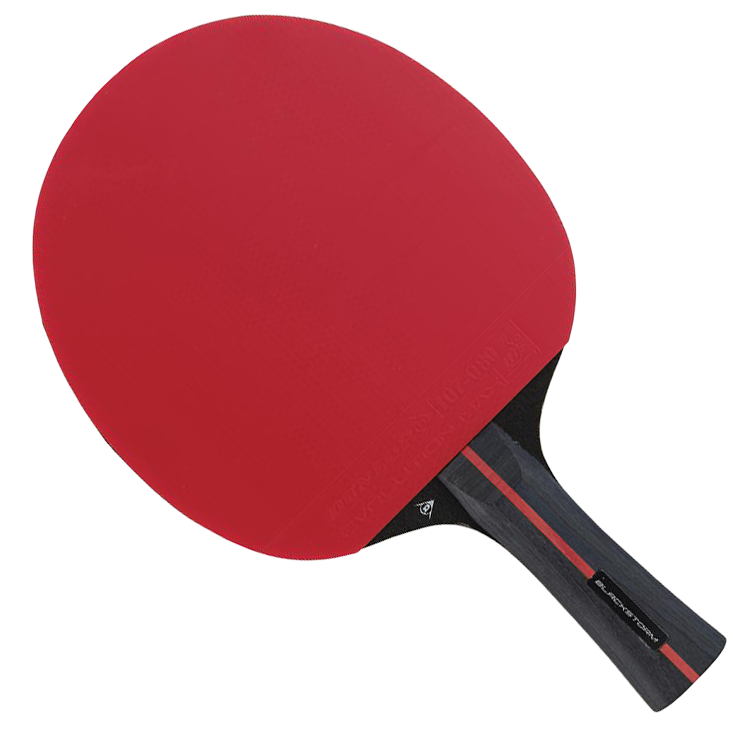 DUNLOP BLACKSTORM TABLE TENNIS BAT