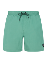 Load image into Gallery viewer, PROTEST MENS FASTER BEACHSHORT FROSTY GREEN

